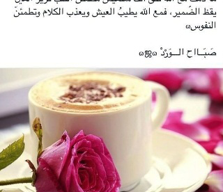 صور أجمل دعاء صباح الورد Good Morning - صور ورد وزهور Rose Flower images